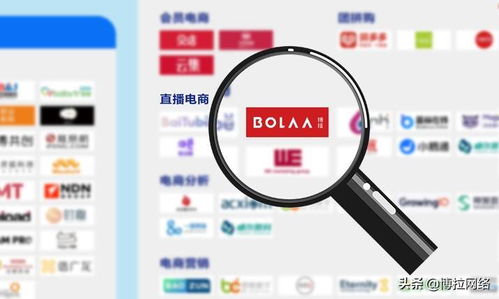 博拉網(wǎng)絡(luò) 以多項數(shù)字化服務(wù)領(lǐng)先優(yōu)勢，榮登中國數(shù)字營銷生態(tài)圖